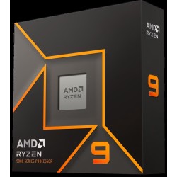 AMD Ryzen 9 9900X