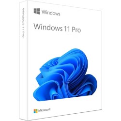 Microsoft Windows 11 Pro