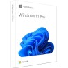 Microsoft Windows 11 Pro