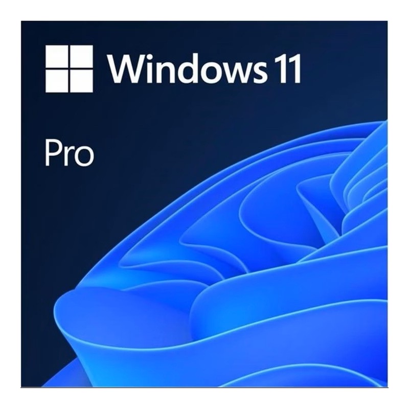 Microsoft Windows 11 Pro